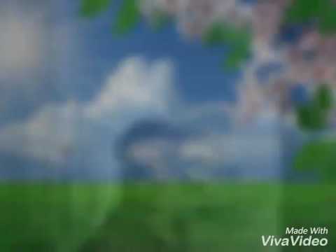 Gangadhar birthday song