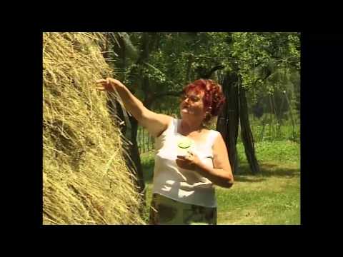 Mica Trofrtaljka - Hoce Deda Malo Meda