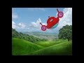 Little Einsteins Rocket Soup The Blue Footed Booby Bird Ballet
