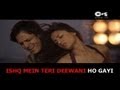 Ishq Mein Teri Deewani - Lyrical Video | Prince | Vivek Oberoi | Monali Thakur