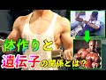 【再UP】体作りに遺伝はある?  痩せやすい遺伝子の存在とは!?【筋トレ】
