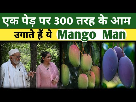 एक पेड़ पर 300 नस्लों के आम उगा दी mango man Haji Kalimullah khan ने ….