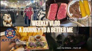 Something but nothing at the same time: Weekly Vlog Pt. 54