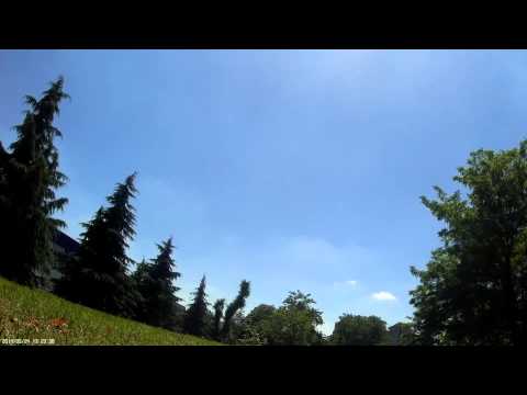 microSquid Speed Limited Edition