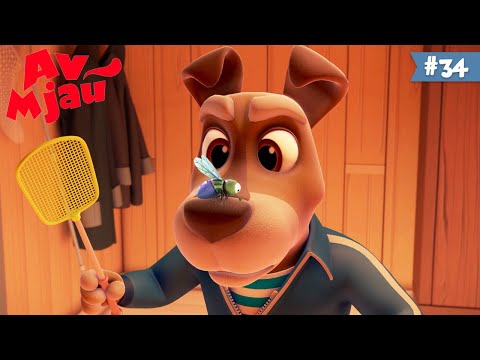 Av Mjau 🐶 Muvalica 🐱 Deciji crtani na Srpskom | HeyKids