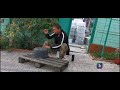 Toly Druga Un Om Simplu Care Nu Cere Nimic Dar Merita Totul îl Ador Pe Vitea Șmecheru The Best You