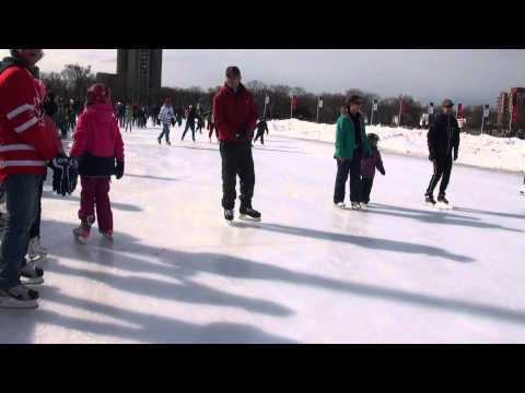 image-When was the Halifax oval built?