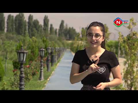 Birlikdə öyrənək - 08.08.2021