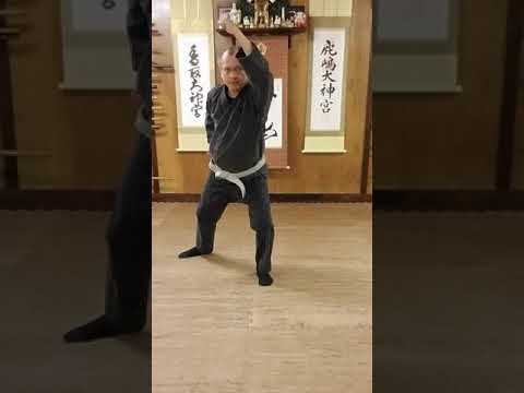 AZBujinkan - 03 - Gogyo Ura Waza 1