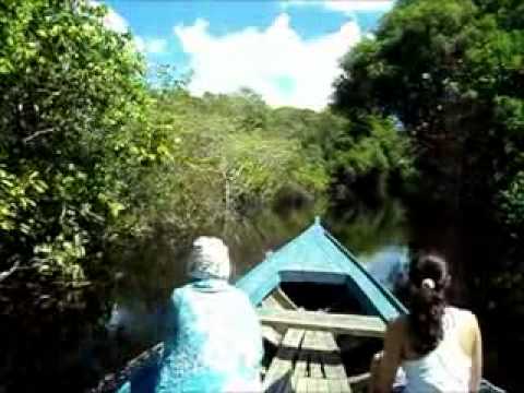 Floresta Amazonica 2012  Feitio Daime