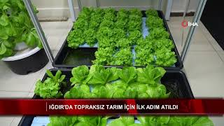 Iğdır'da topraksız tarım için ilk adım atıldı