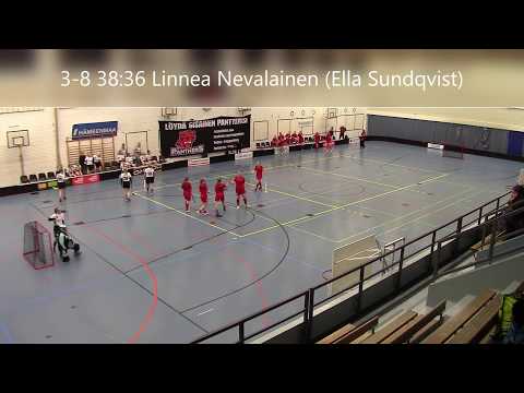 B-tytöt maalikooste  Karhut - Häme Stars 12.1.2020 Riihimäen urheilutalo