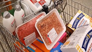 Publix Weekly Grocery Haul 3-4-21 to 3-10-21 | FREE DEALS  | Great Bogos | Arickamisha