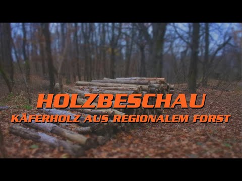 Wie funktioniert eine Holzbeschau? - diesaegewerkerei kauft Käferholz | Hinter den Kulissen in 4K