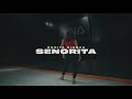SENORITA Camila Cabello Dance Cover 1Million Dance Studio May J Lee Choreography