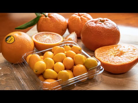 image-What is the size of a tart kumquat?