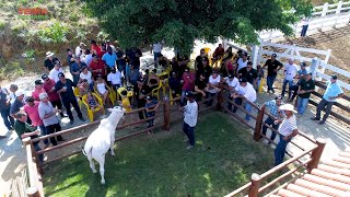 Miniatura do vídeo