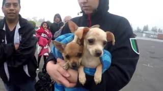 What do our patients look like?