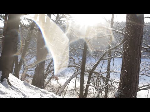 Gdybym / Get Free (feat. Wojciech Waglewski) - Wojtek Mazolewski / visual 20170117