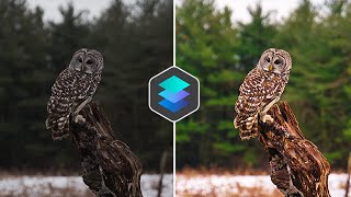 Using AI to EDIT MY PHOTOS - Intro to Luminar 4