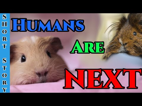 1405 -  The Curators by AltCipher  | HFY | Humans Are Space Orcs | Cute Animals make Humans next