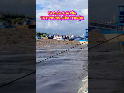 Khủng Khiếp! Lũ Tràn Về Bình Thuận 🙏 #tintuc #tinnong24h #lulutmientrung #thinhhanh #tindongtroi