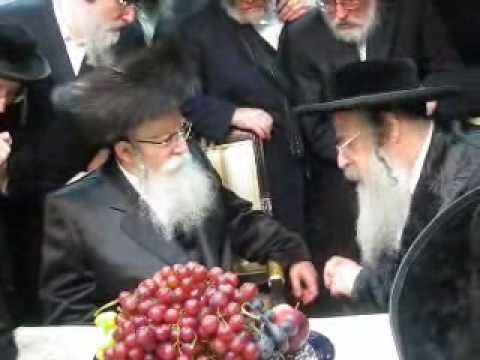 R' Leibush of Pshevorsk visiting Sanz Klausenburg Rebbe 5770