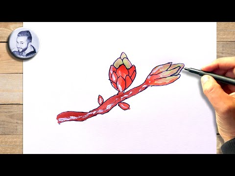 Comment dessiner un bourgeon facile