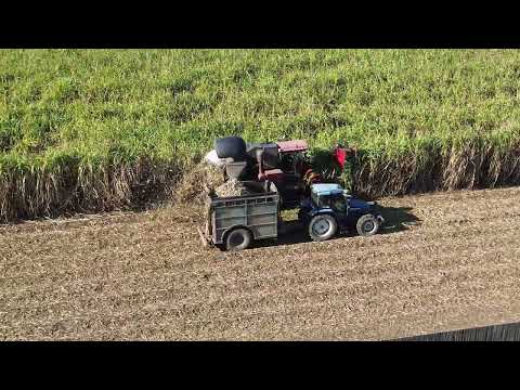 Sugar Cane Harvesting in Bundaberg, Queensland