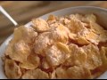 Frosted Flakes Sports Camp 2009 Commercial
