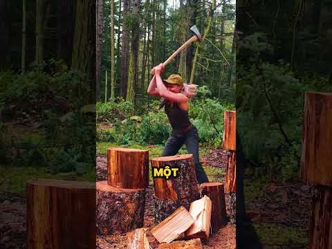 Chặt Hơn 10.000 Cái Cây Chỉ Để Làm Âm Thanh Xe Hơi 🌲🪚