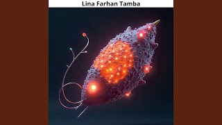 Download lagu Aeriferum Aviole mp3 Download lagu Aeriferum Aviole mp3