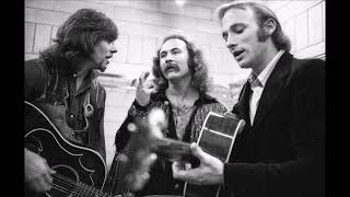Crosby, Stills, Nash &amp; Young   &quot;Looking Forward&quot;