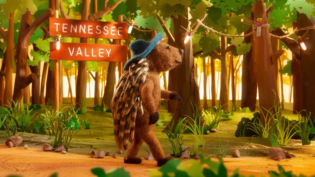 TVFCU - A Place For All of Us