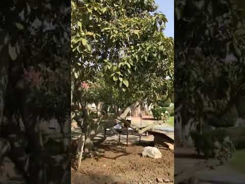 Yogalehrerausbildung in 3 Modulen, Yogaferienwochen oder Yin Yoga Ausbildung in der Casa El Morisco