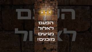 מכון הרמן סת"ם עובדים בשבילכם גם ב'בין הזמנים'!
