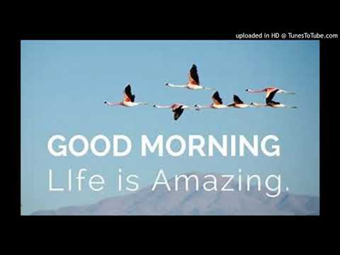 Áttavilltir - Góður & Svíf