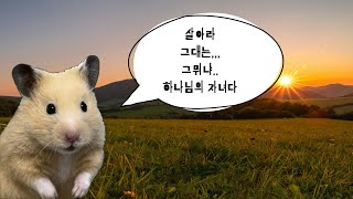 Download lagu [CCM Playlist] 하나님의 자녀들을 위한 은혜의 찬양🥹 차분하게 듣는 찬양 플레이리스트✨ mp3