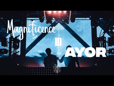 Magnificence & Ayor - ID / (Seth Hills - ID?) / [Bass House] [STMPD RCRDS] / Unreleased Track