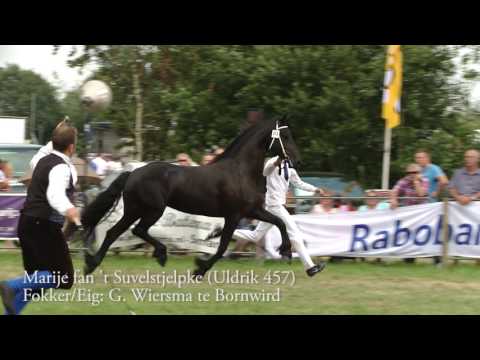 Fokdag Ta it Bihâld 2016