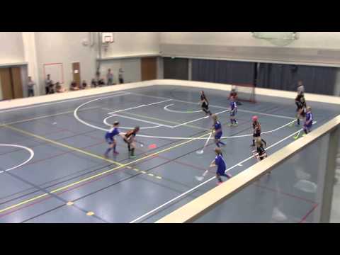 Maalikooste D-tytöt PirPi vs O2 JKL 21.2.2016