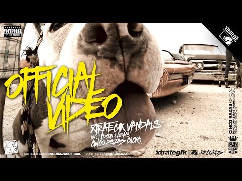 Cinco razas - con voz de barrio [OFFICIAL VIDEO]