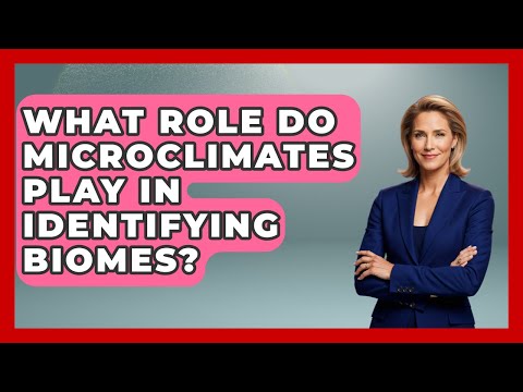 What Role Do Microclimates Play In Identifying Biomes? - Explaining Ecology