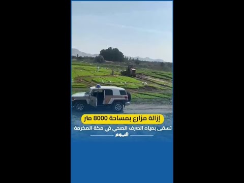 تسقى بمياه الصرف.. أمانة العاصمة المقدسة تزيل مزارع بمساحة 8 آلاف متر