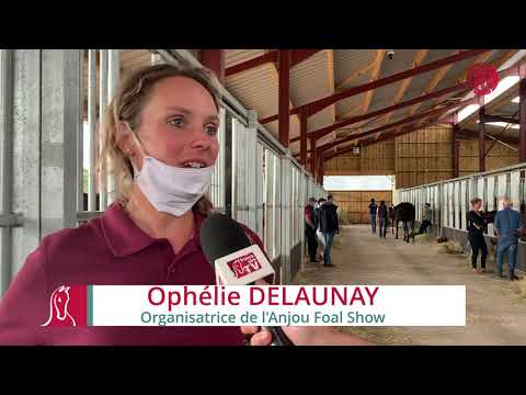 Anjou Foal Show 2020 : une première réussie !