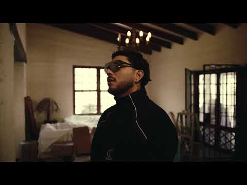 Miguel Guerrero - No quiero buscarte más (Visualizer)