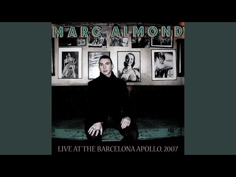The Room Below video thumbnail