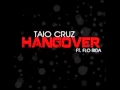 Taio Cruz feat Flo Rida Hangover a Tribute! 