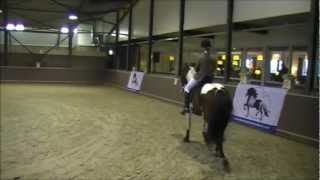 Video of Apollo