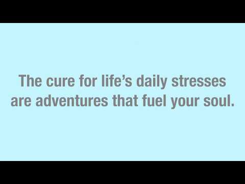 CRUISE and RESORT - Daily Stresses 1